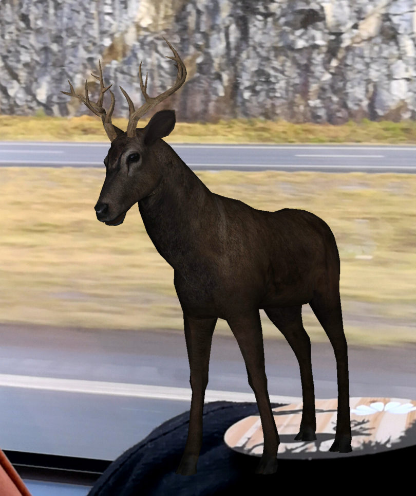 Od skoraj pravih jelenov do oživelega kataloga