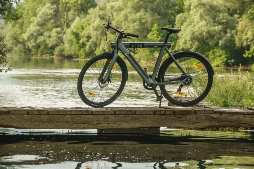 BirdBike A Frame: Mestni posebnež