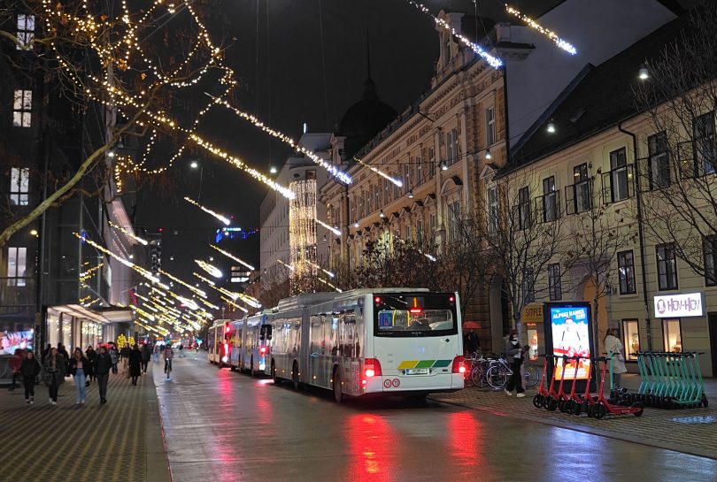 Leto 2025 bo prineslo zmerno rast in optimizem