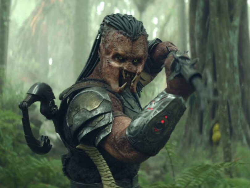 Bolj »človeški« od vseh članov tujerodne lovske družine