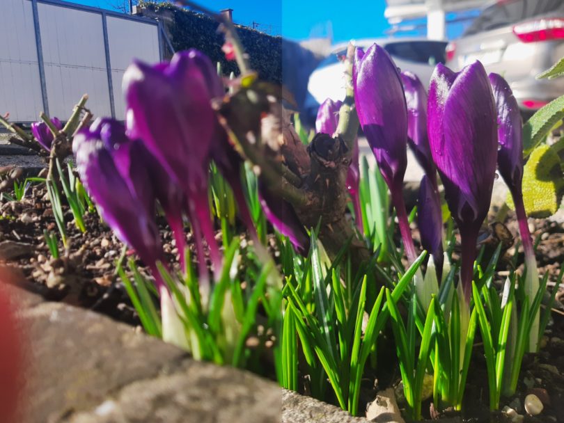 NEDELJSKI NASVET: Si razbijate glavo zaradi zamegljenih fotografij, pa ne veste, kaj storiti?