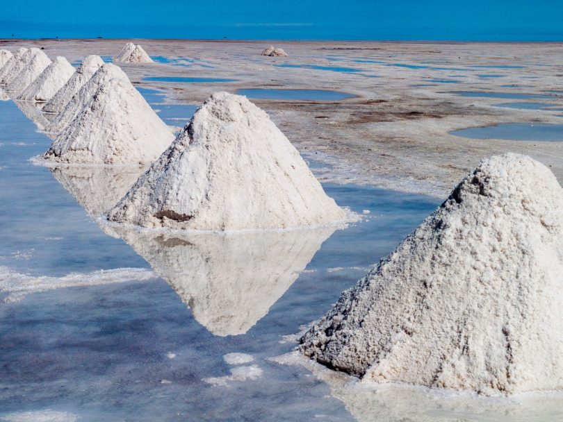 Neizprosna tekma »bande treh« za »belo zlato«
