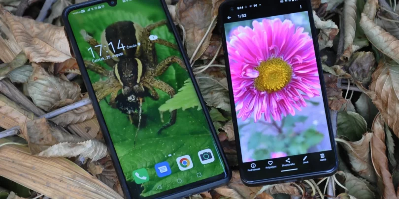 NEDELJSKI NASVET: Zato imam pri sebi vedno dva telefona!