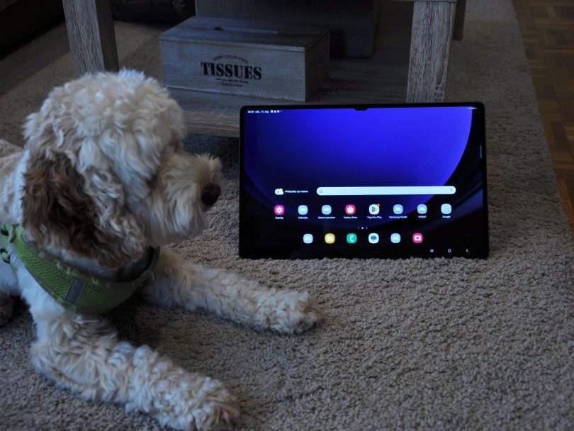 Sodite med uporabnike, ki se jim zdi tablični računalnik nepogrešljiv?